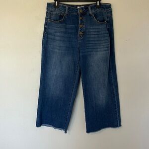 Westbound women’s capris, denim, dark blue wash. Women’s plus size 14R.